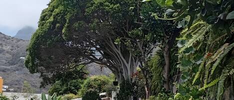 Overnatningsstedets område