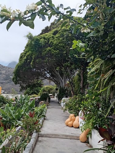 Rural House 'La Estrella' with Mountain Views, Private Terrace and Wi-Fi