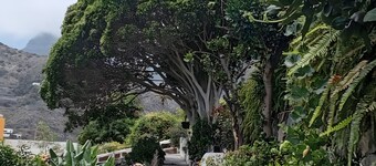 Rural House 'La Estrella' with Mountain Views, Private Terrace and Wi-Fi