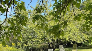 A table with a red tablecloth set for four, surrounded by white chairs, in a grassy outdoor area with trees in the background. - Large family home in the country - sleeps 8 (Saint-Seine-sur-Vingeanne)