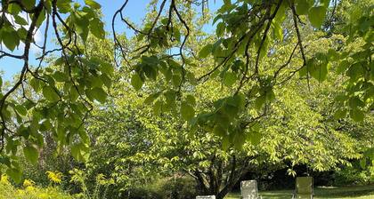 Large family home in the country - sleeps 8