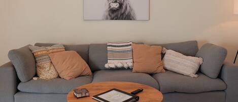 TV connectée, cheminée