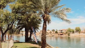 A fenced outdoor area with a palm tree, a picnic table, and a view of a body of water and buildings in the background. - Colorado River RV in Enchanting Needles with beautiful views and boat launch. (Needles)