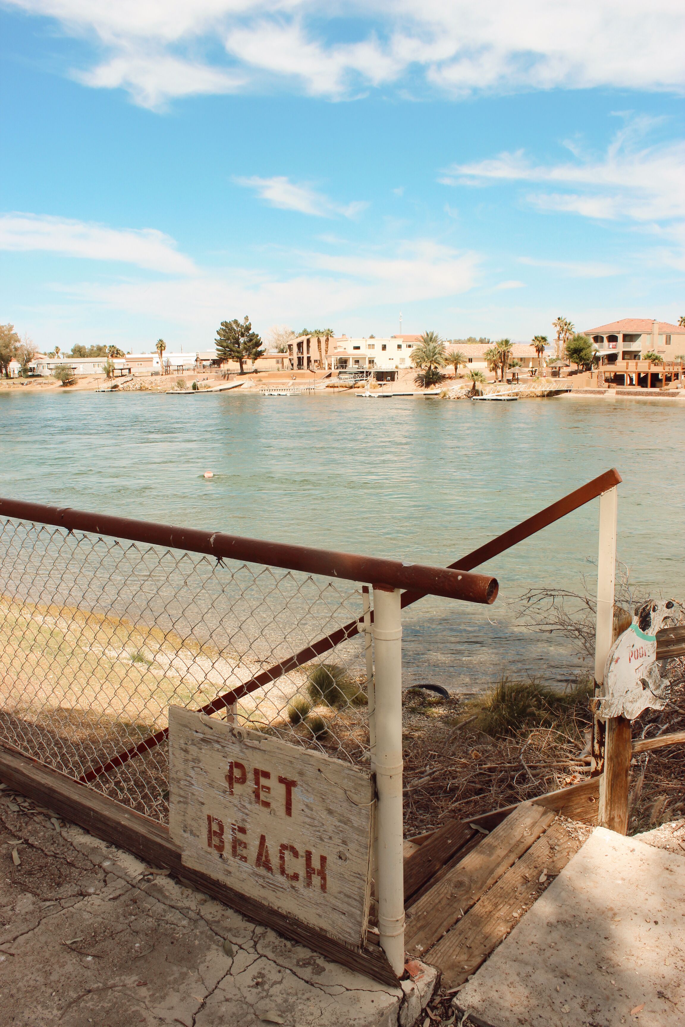 A pet beach sign, a chain-link fence, and a body of water with buildings in the background.