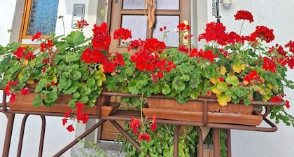 Entspannen unterm Schloss