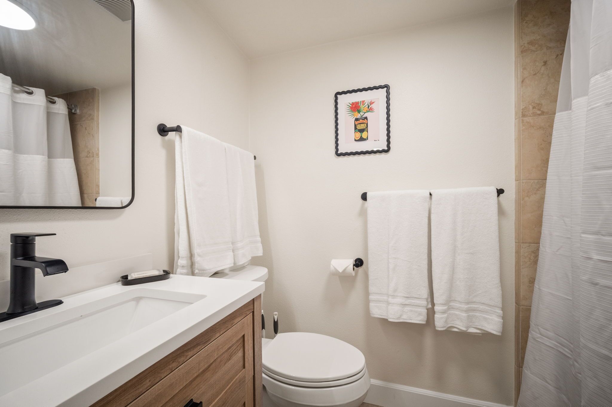 Hair dryer, towels, soap, toilet paper