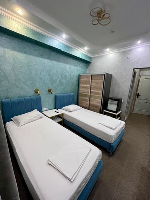 华丽双床房 | 熨斗/熨板、免费 WiFi