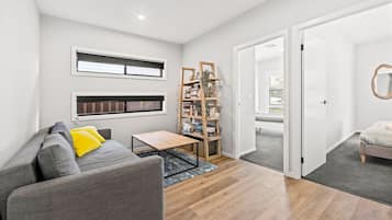 Smart TV, lareira, livros, aparelho de som