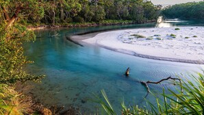Un río con aguas cristalinas, orillas de arena y abundante vegetación.