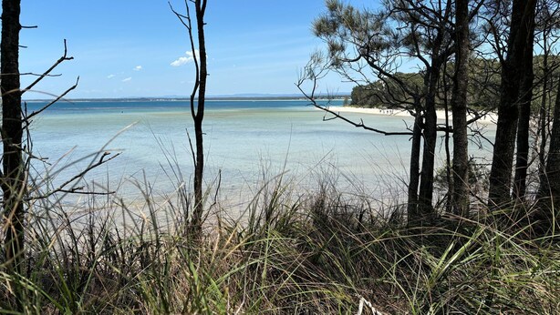 A beach with clear water, trees, and a distant shoreline. - Osprey - Pet Friendly Waterfront (Callala Bay)