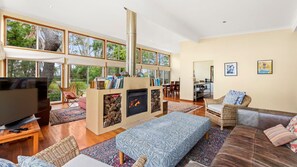 智能電視、壁爐、DVD 播放機、書籍