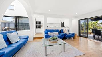 Smart TV, fireplace, DVD player, books