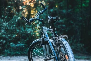 A bicycle parked outdoors with a blurred natural background. - Hotel Hospes Maricel & Spa (Ca's Catala)