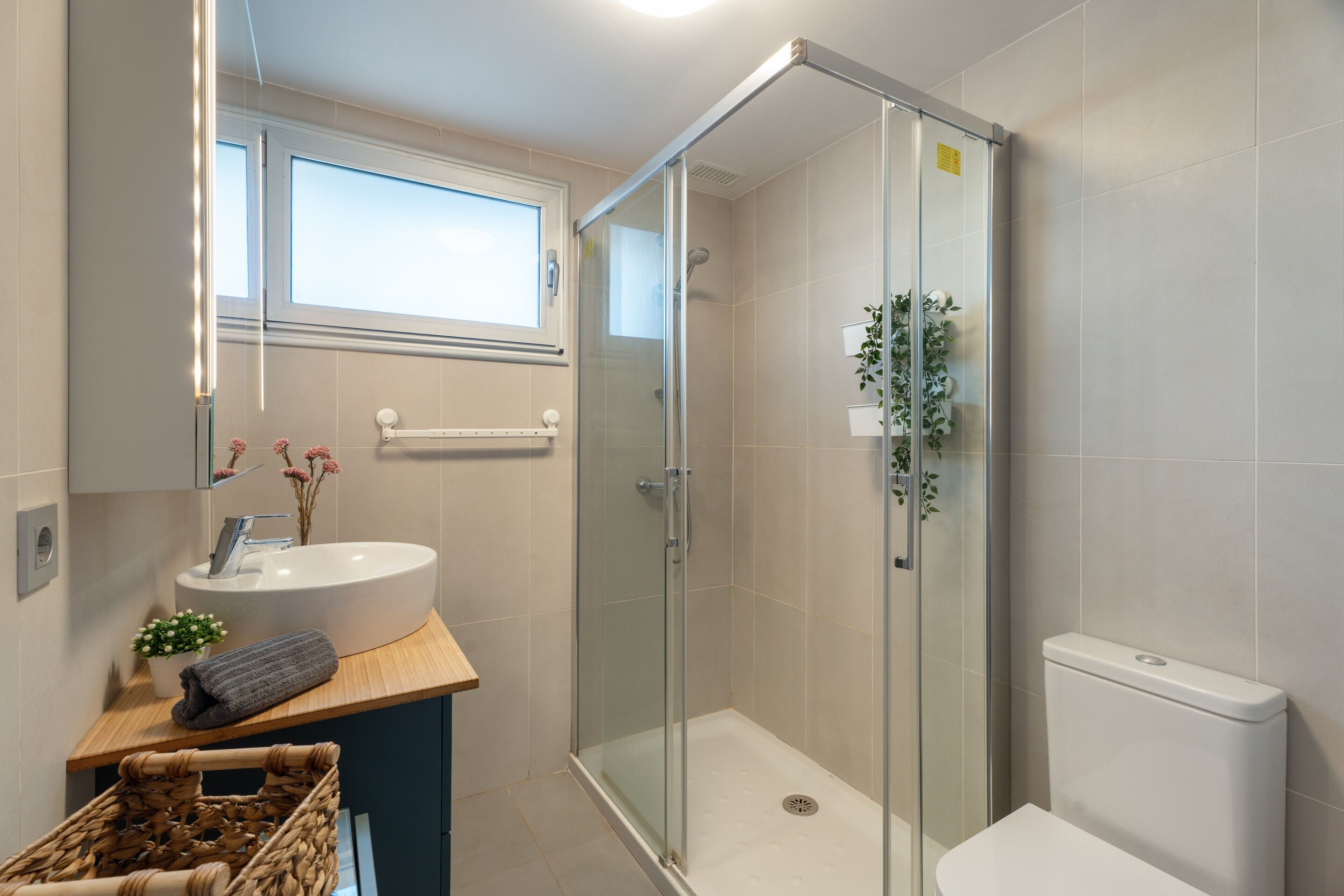 Shower, hair dryer, towels
