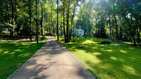 A paved pathway through a forested area with a white building in the distance.