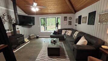 Smart TV, fireplace, computer monitors, printers