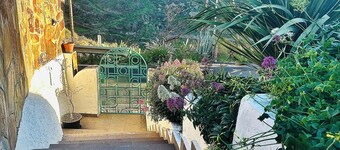 Casa Cueva Barranco Hondo