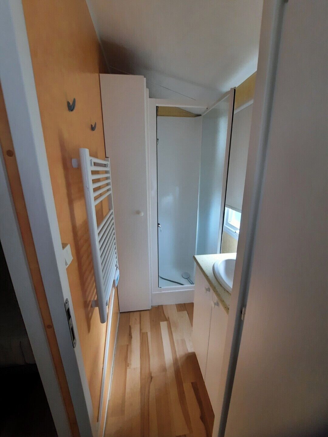 Shower, hair dryer, toilet paper