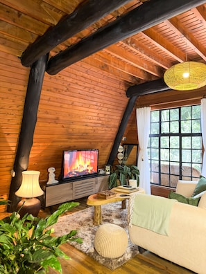 Smart TV, fireplace