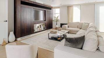 Smart TV, fireplace, books