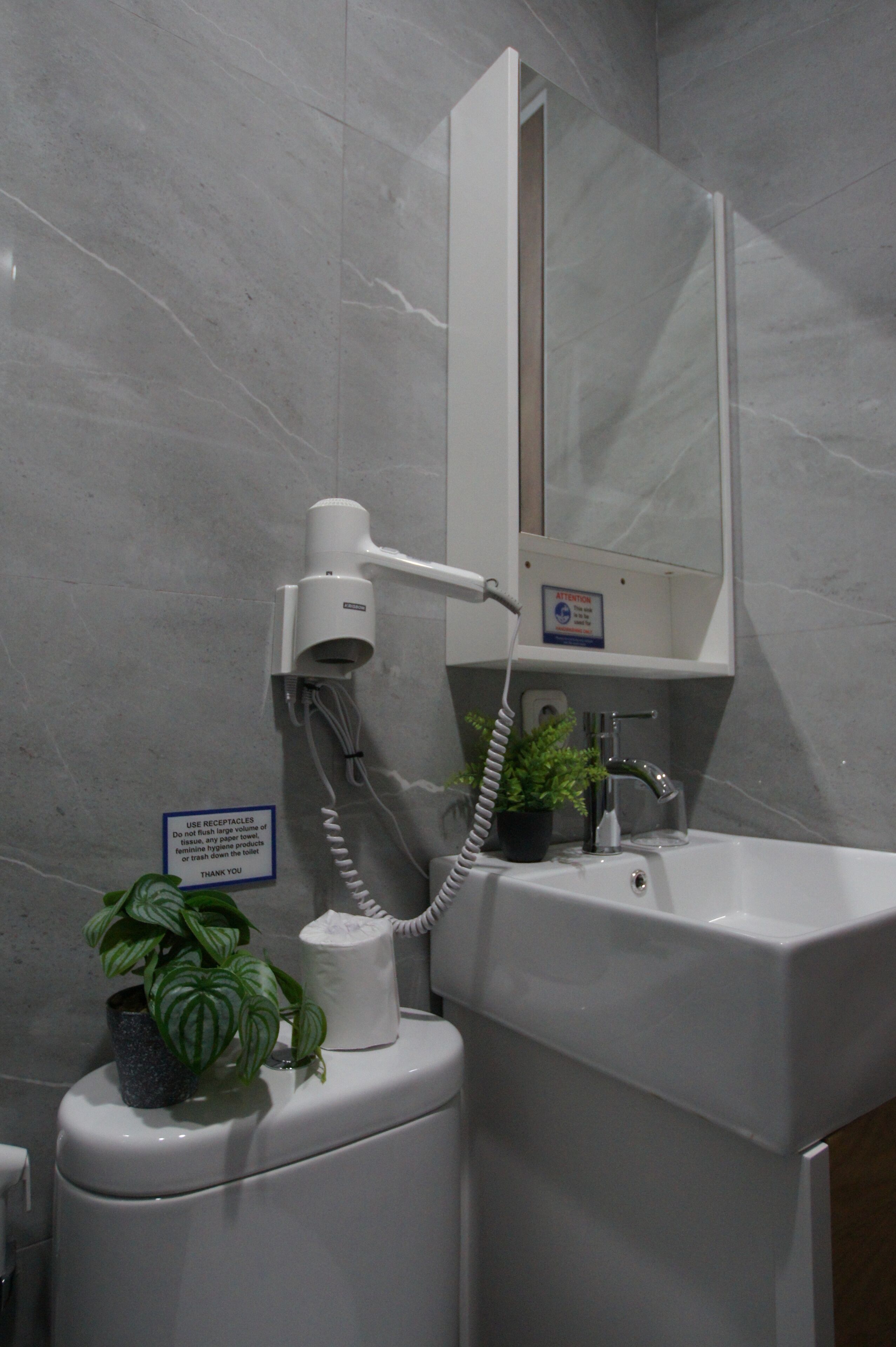 Un baño con inodoro, lavamanos y espejo. Hay un cartel que indica usar los contenedores y no tirar objetos grandes por el inodoro. Una planta está colocada sobre el inodoro y un secador de pelo está montado en la pared.