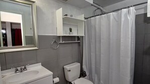 A bathroom with a white sink, toilet, and shower curtain. There is a mirror above the sink and a shelf with a plant. - The Castle ᴶ (Philipsburg)