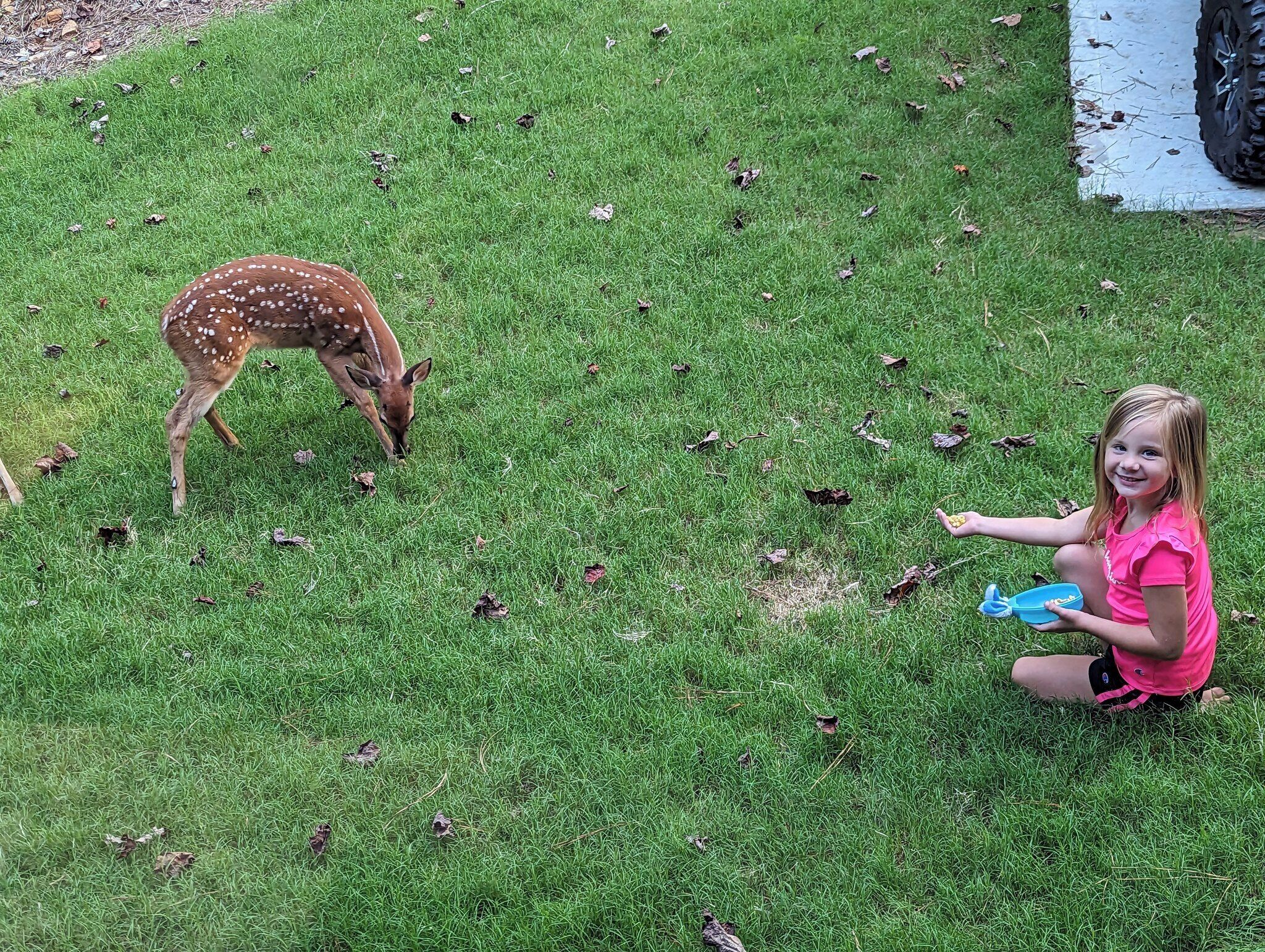 Un enfant est assis dans l’herbe, et un cerf broute à proximité.