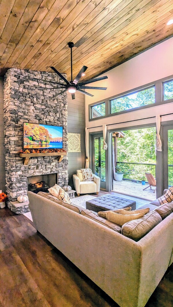 Smart TV, chimenea, videojuegos y reproductor de DVD