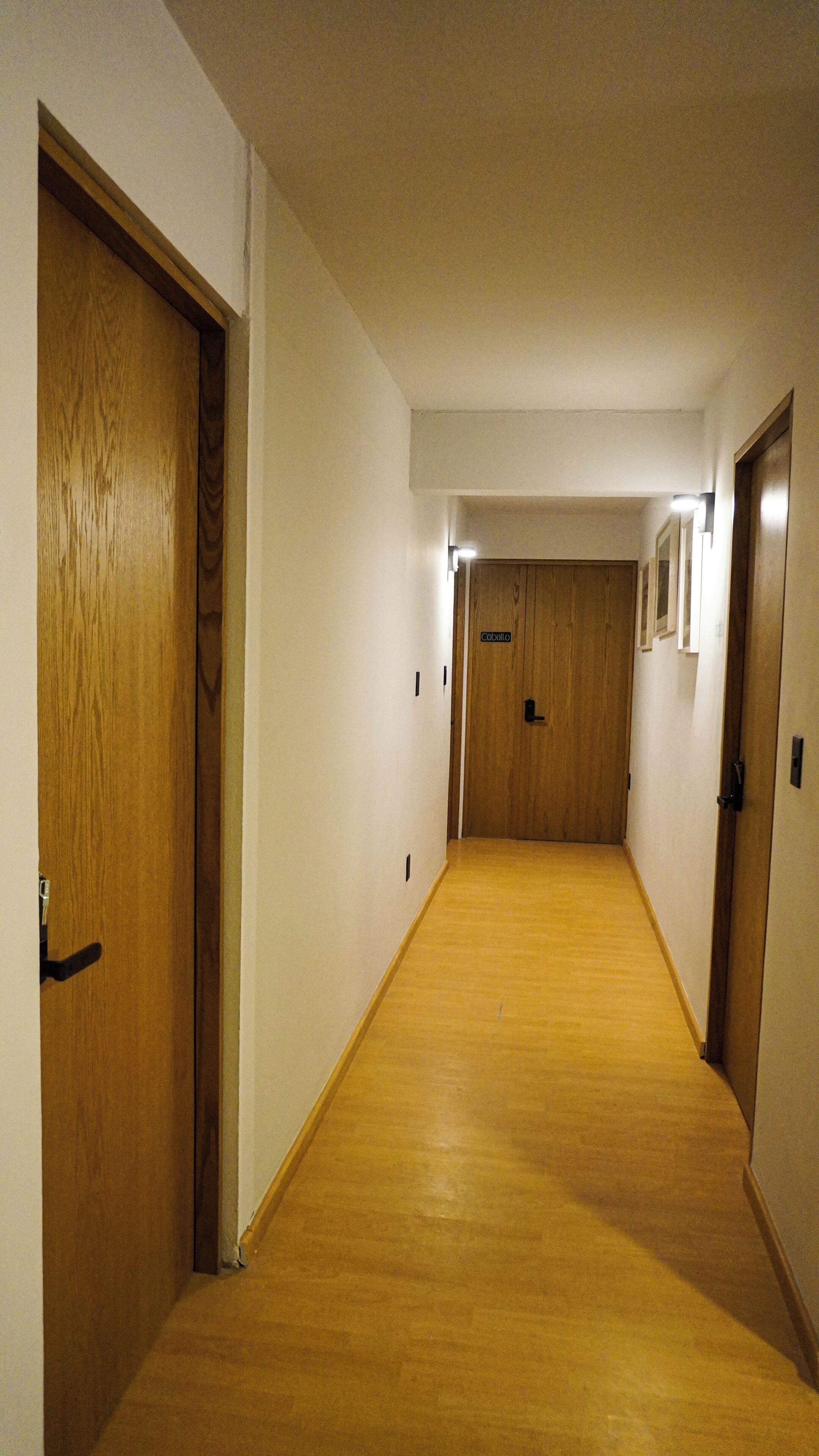 A narrow hallway with wooden doors on both sides, a carpeted floor, and a light fixture on the ceiling.