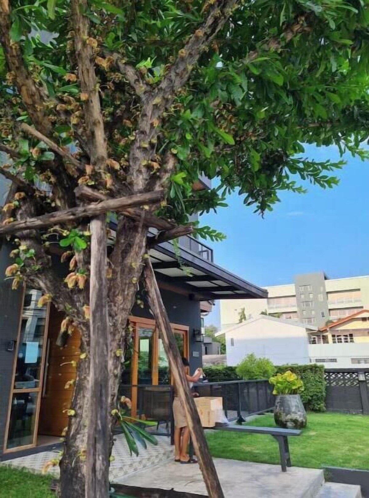 Værtens profilbillede