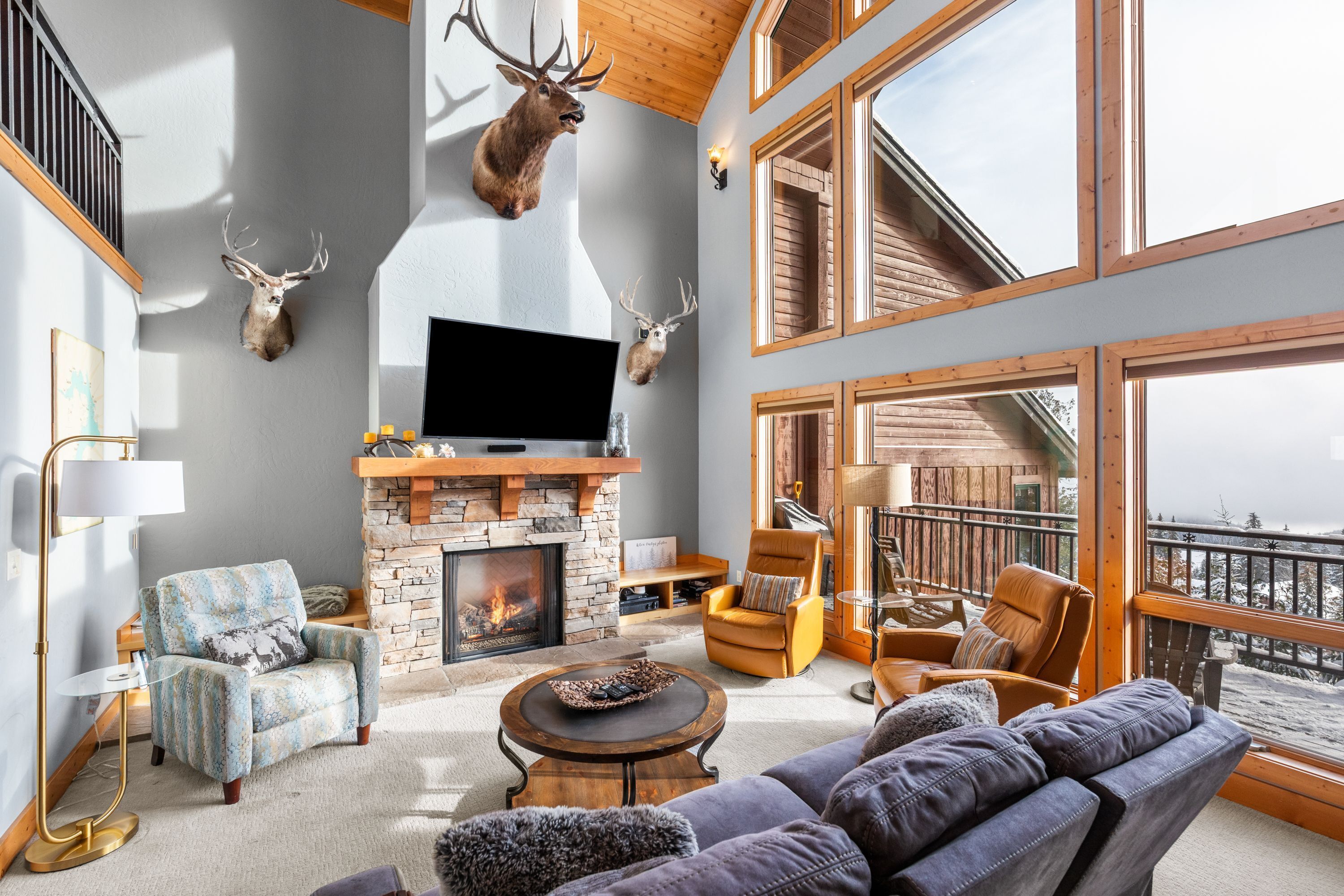 TV, fireplace, books