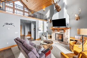 TV, fireplace, books