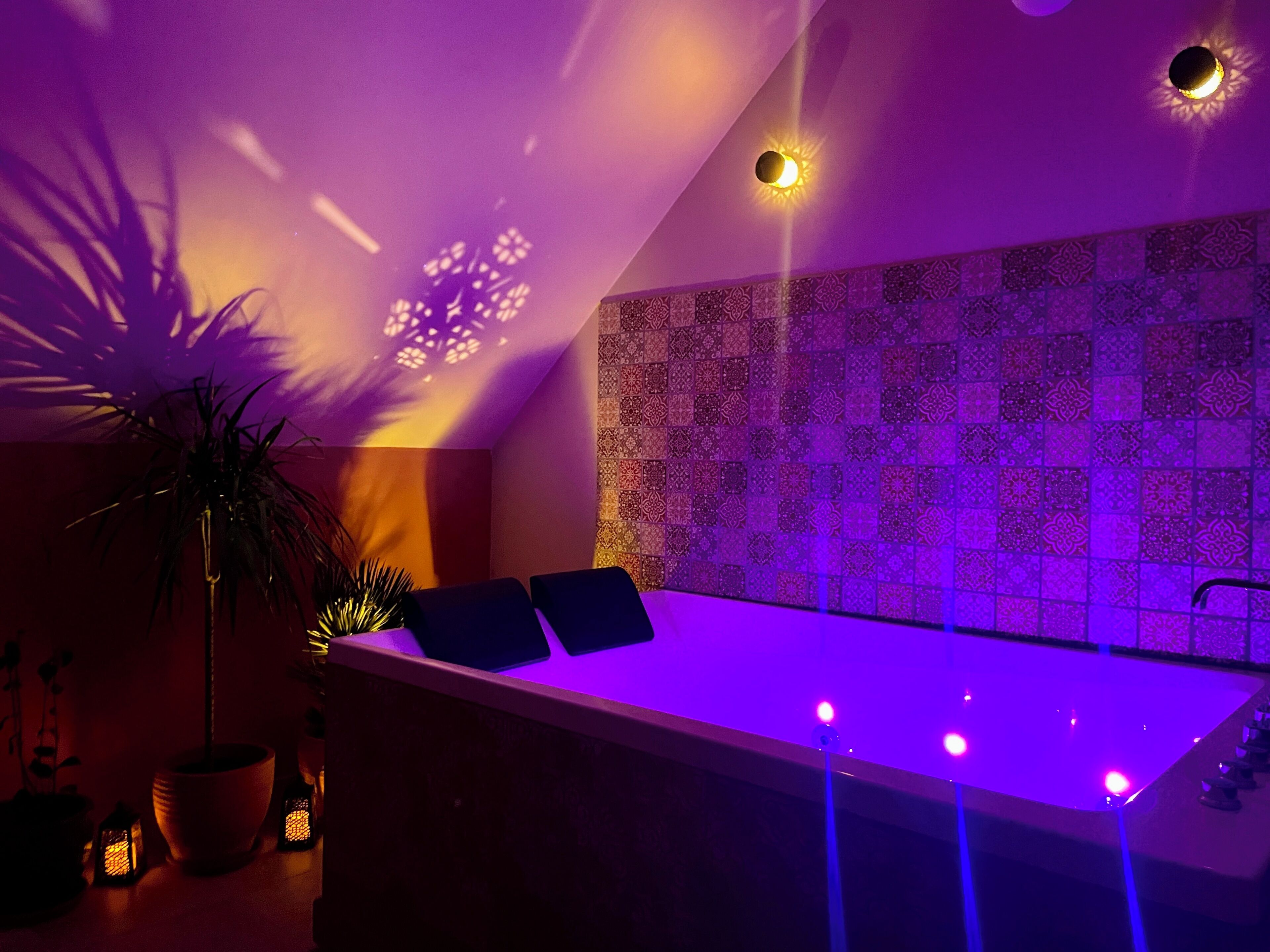 Une salle de bain moderne avec une baignoire, une plante en pot et des carreaux à motifs.