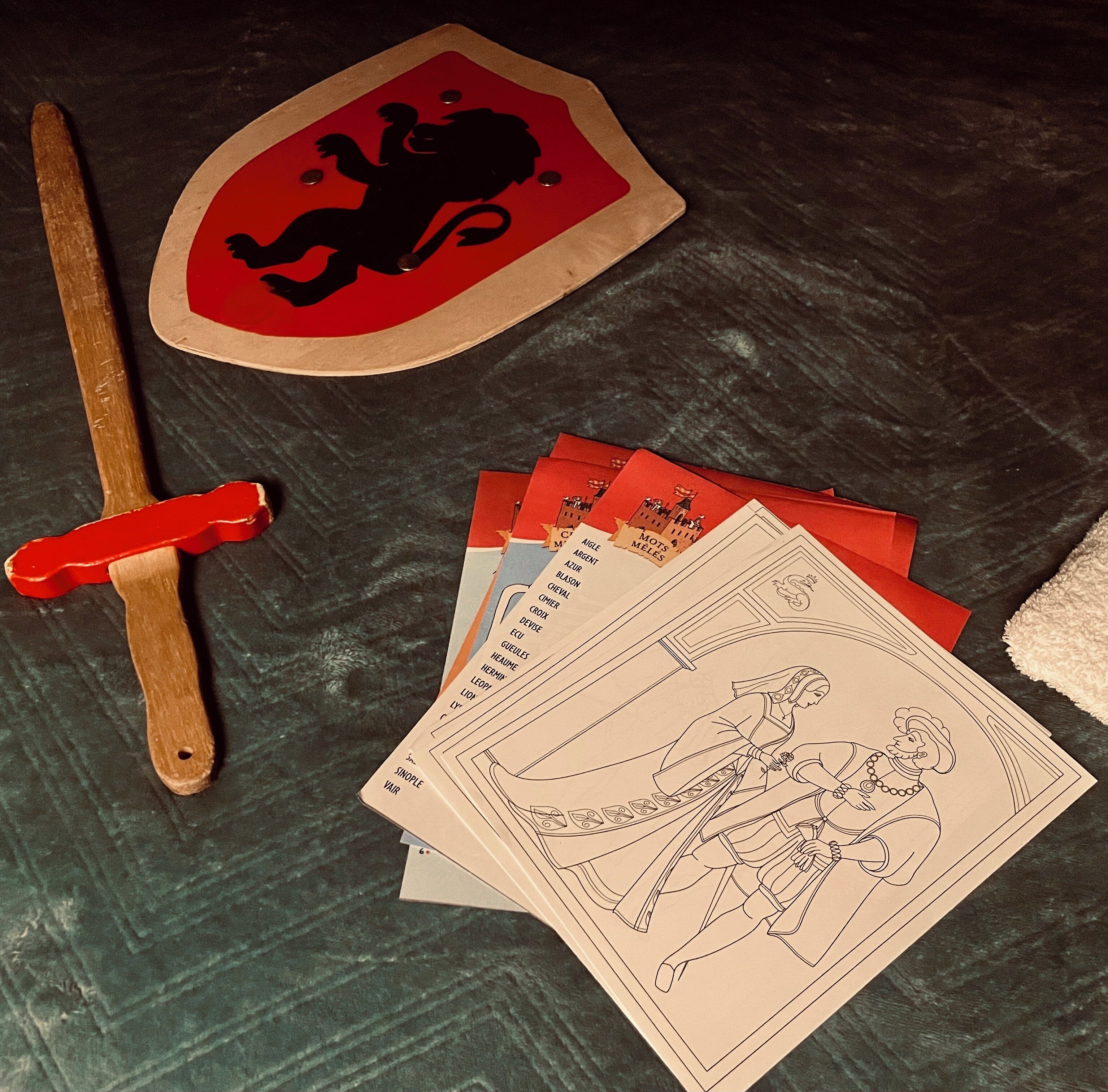 A wooden sword, a red shield with a black lion, and several cards with text and drawings.
