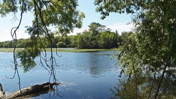 A calm lake surrounded by dense trees and a clear sky.