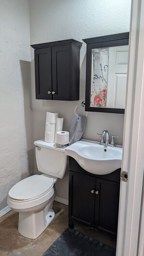 Towels, soap, shampoo, toilet paper - Quiet one bedroom apartment near Dardanelle Lake on 10 Acres (Knoxville)