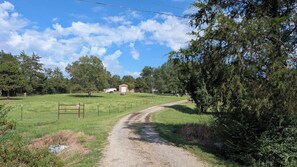 Miscellaneous - Quiet one bedroom apartment near Dardanelle Lake on 10 Acres (Knoxville)