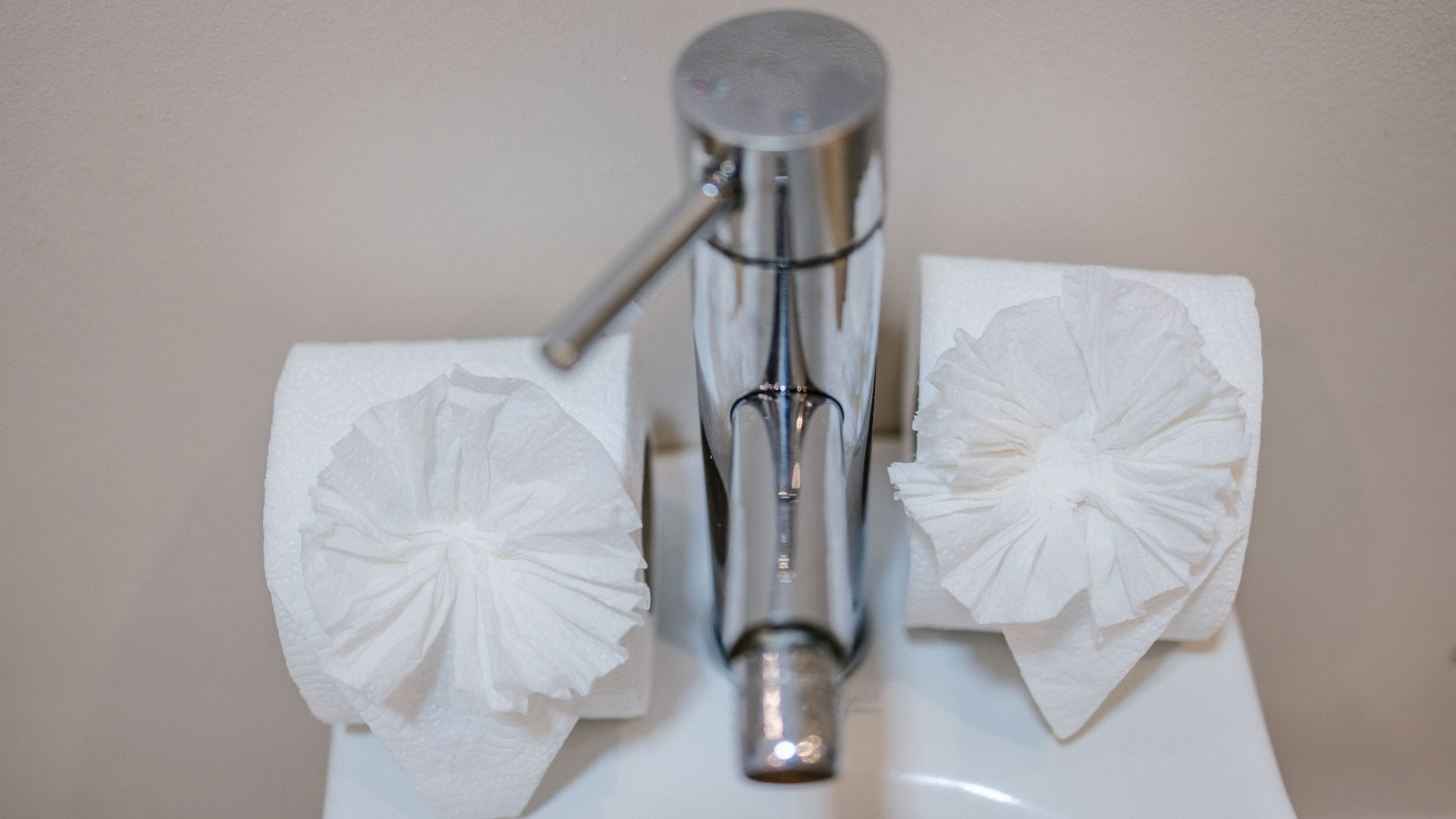 Un porte-rouleau de papier toilette avec deux rouleaux de papier toilette.