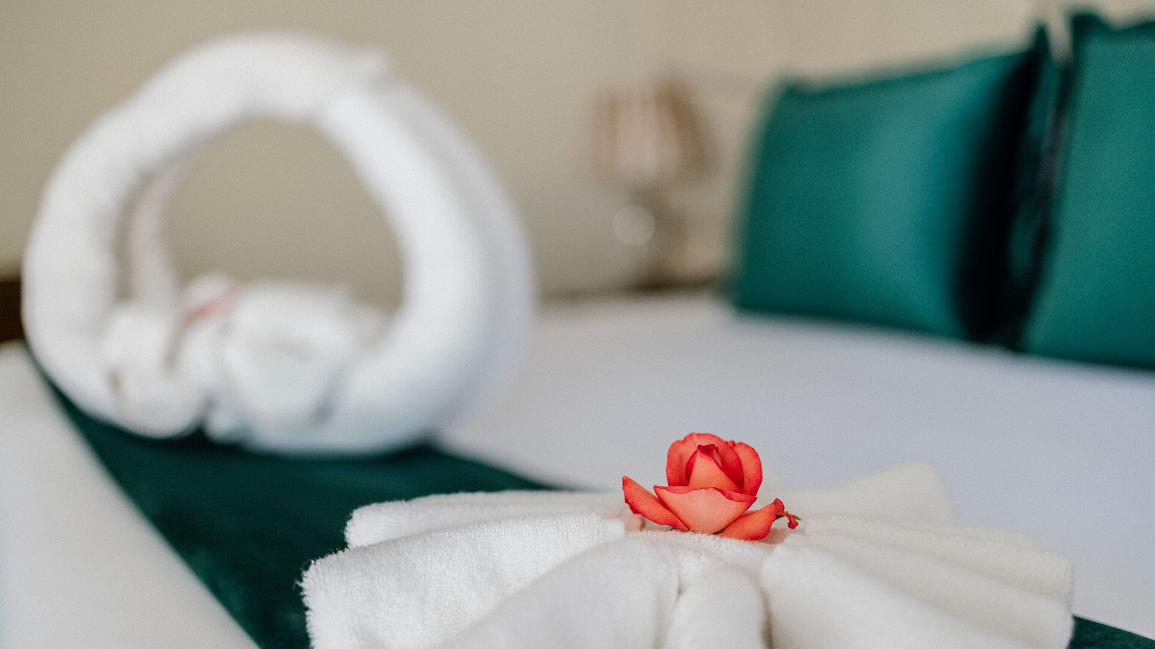 Ein ordentlich bezogenes Bett mit einem weißen Handtuch und einer Rose.