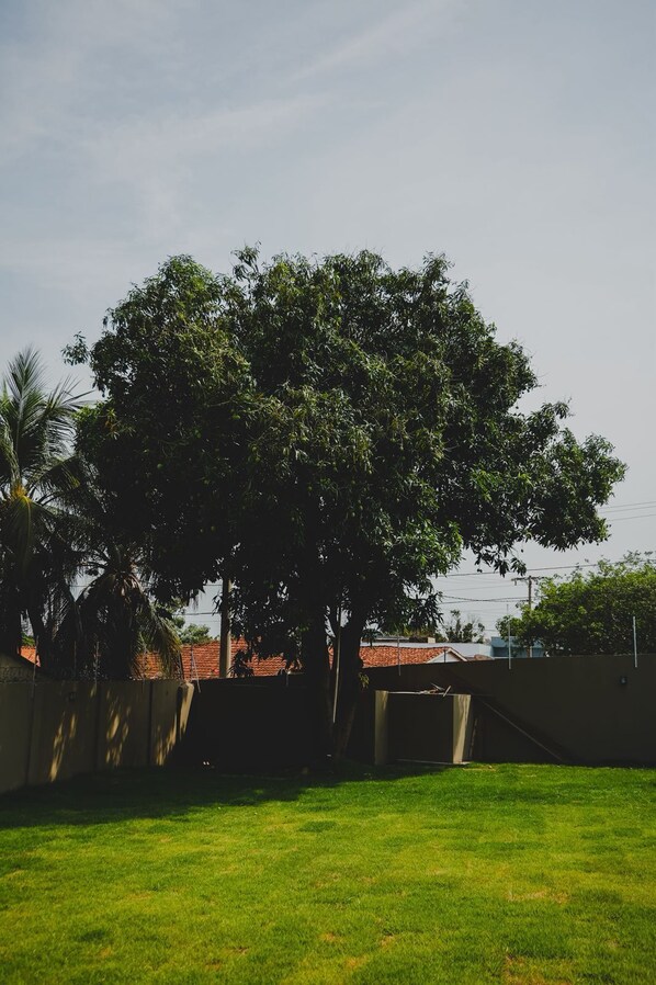 Terras