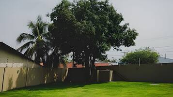 Un césped con un árbol grande, un muro de hormigón y un edificio con techo inclinado.
