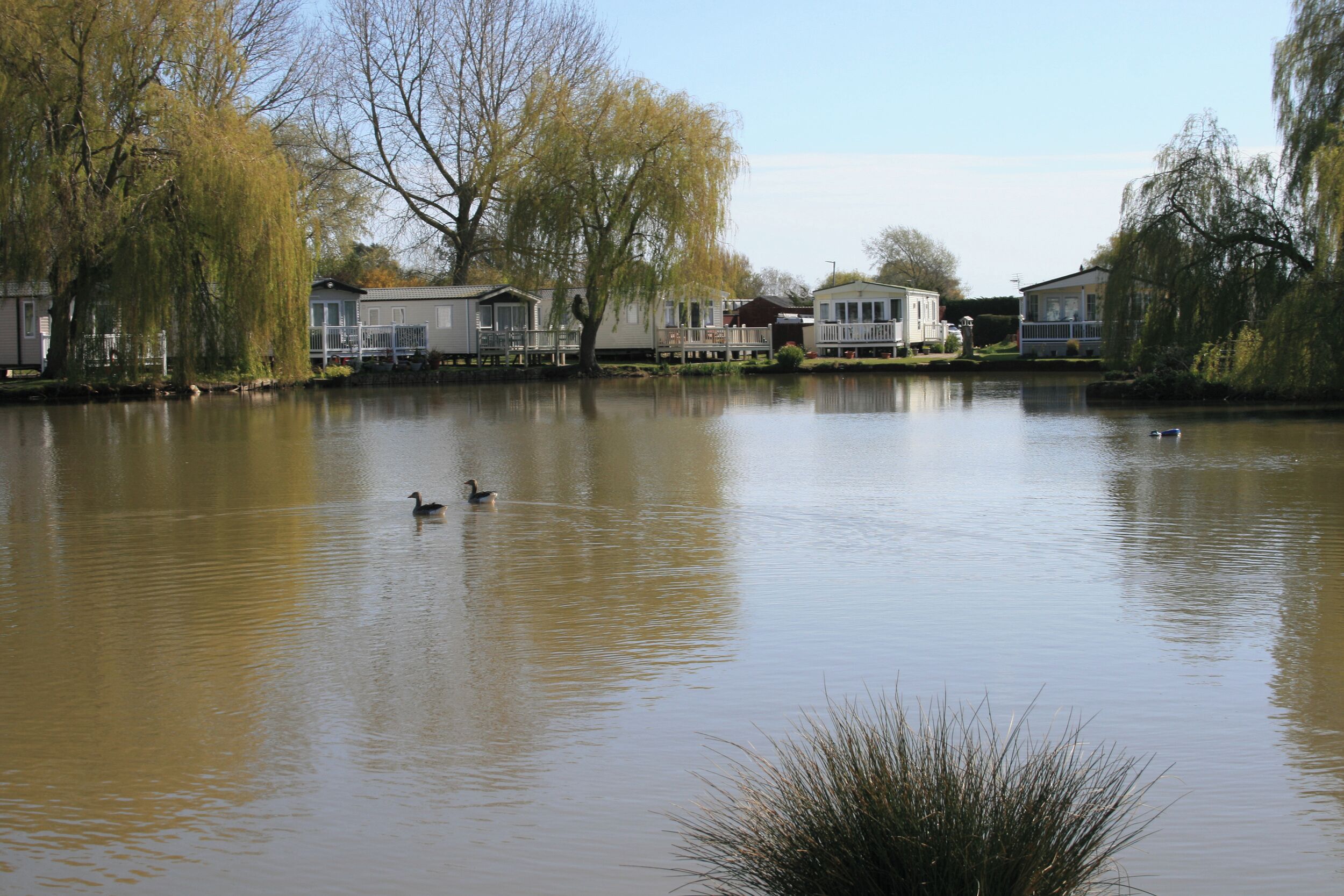 A calm lake with a row of houses along the shore.