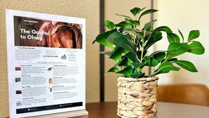 A brochure titled "The Guide to Olney" on a wooden table, next to a woven plant pot. - The Windmill Motel (Olney)