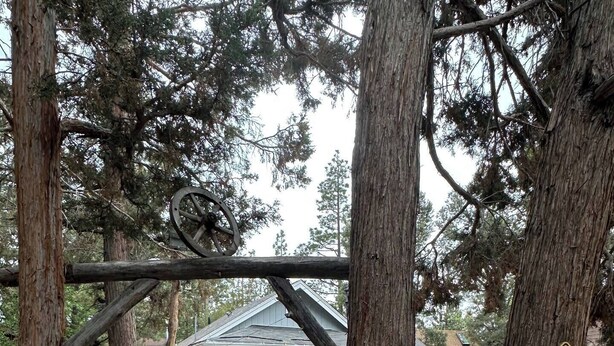 A residential area with a bear crossing sign, a wooden bridge, and a house with a porch. - Cute, Cozy, Peaceful Getaway, Fenced Yard, Big Bear's Lazy Neighborhood with Soaring Pines (Sugarloaf)
