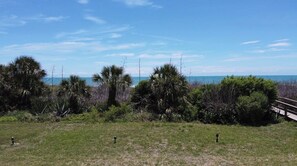 A grassy area with a wooden fence and dense vegetation. - Beautiful newly remodeled 2-bedroom ocean front condo (Cocoa Beach)