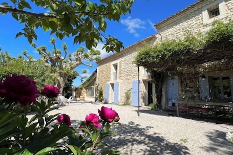 Jardín. Mas de l'Estiou