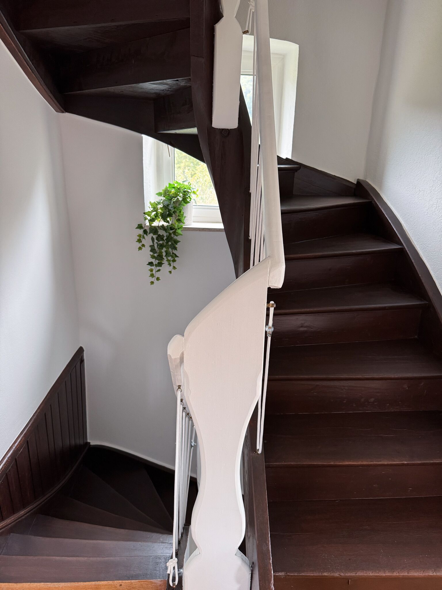 Una escalera de madera con balaustres blancos y barandilla, que lleva a un rellano con una ventana y una planta colgante.