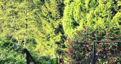 Cosy self-contained studio - Downtown/Faculty