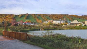 Condo, 2 Bedrooms | Lake view