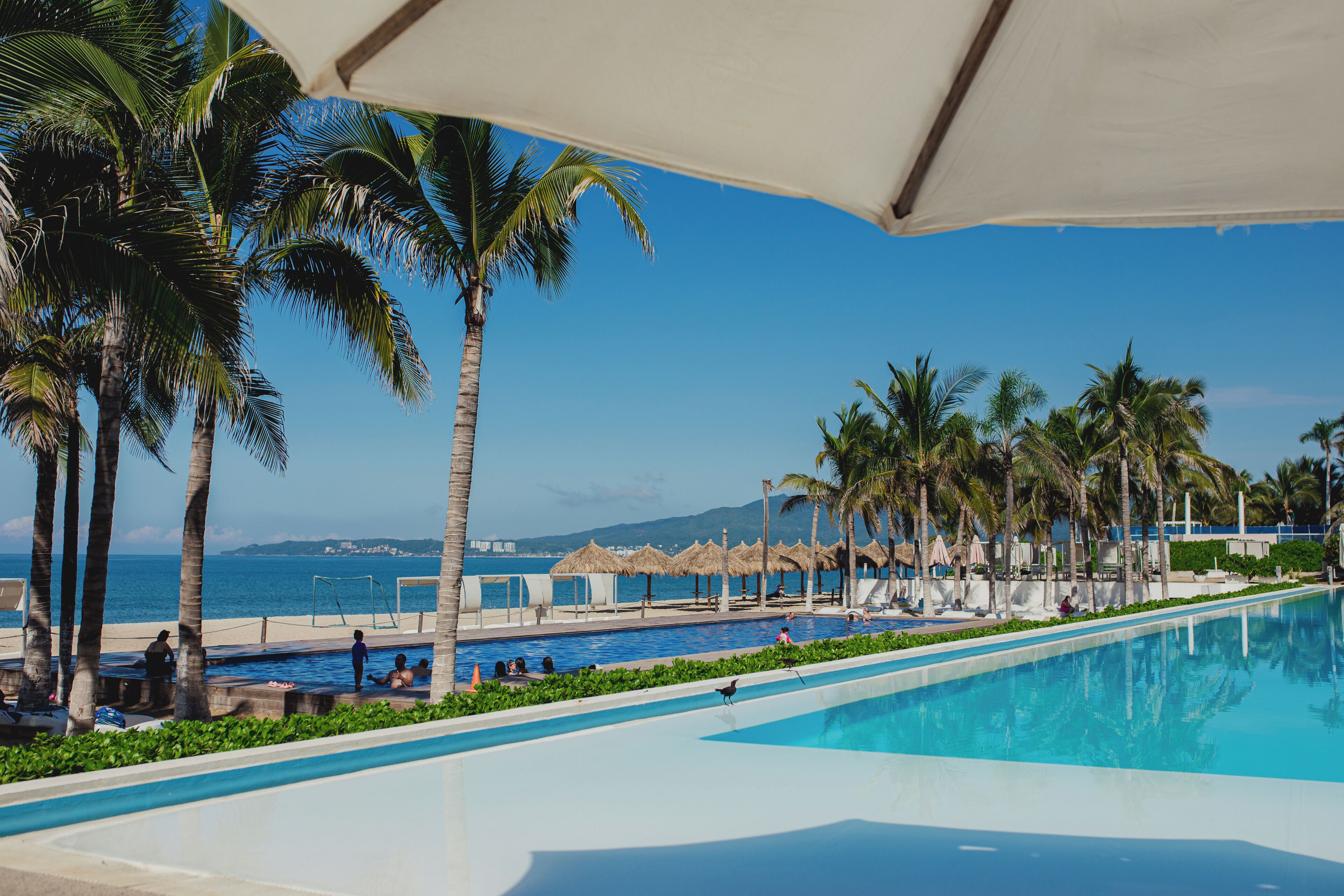 Ein Pool mit Palmen und Blick aufs Meer.